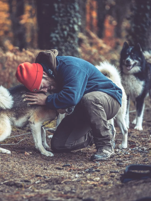 Dog sledding with Skodenar for an unusual holiday in Limousin.
