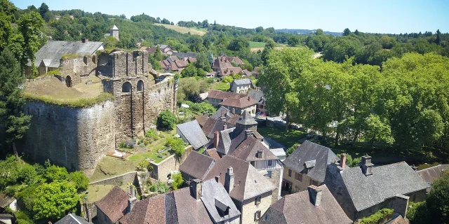 Vue aérienne castrum de Ségur Le Château