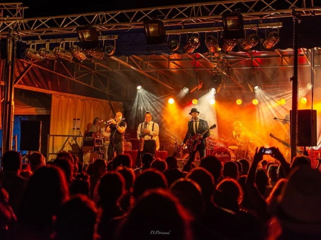 Festival Buis Blues Dominique Perinaud