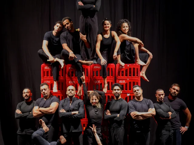 Festival Les Zebrures