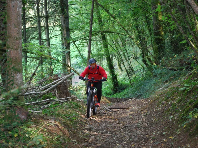 Val De Vienne Tour Grande Boucle Vtt A Aixe Sur Vienne