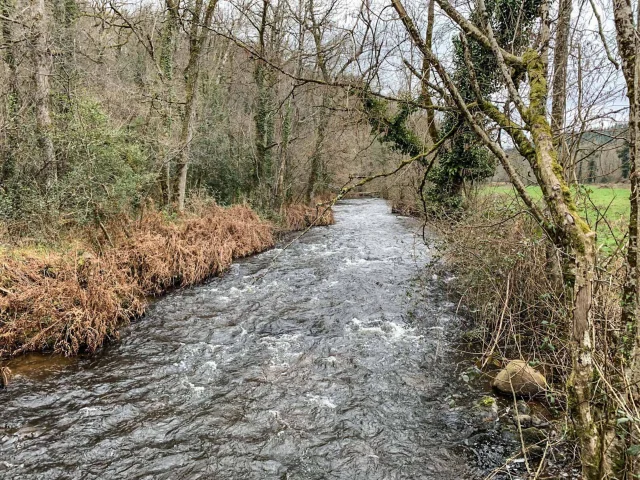 The Couze a river of the Limousin for trout fishing fario parr chub minnow and gudgeon