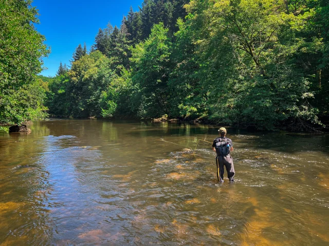 La Vienne à Saint-Léonard de Noblat un des spots où pêcher l'ombre commun en Limousin
