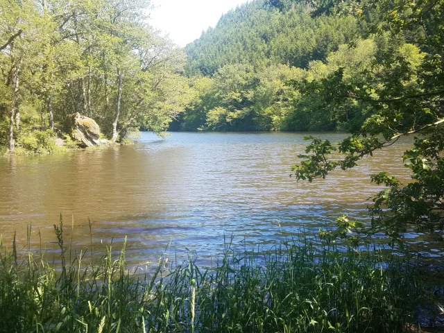 Le Taurion - Pêche en rivières et lacs de barrage du Limousin - truite fario ombre commun et carpe de nuit