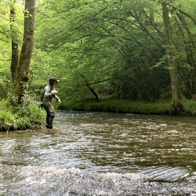 Where to fish for trout and grayling in Limousin - Rivière la Combade in Haute-Vienne