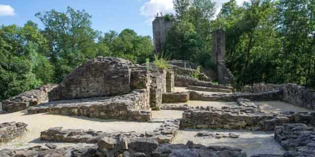 Ruines De La Forteresse De Chalucet Domaine De Ligoure