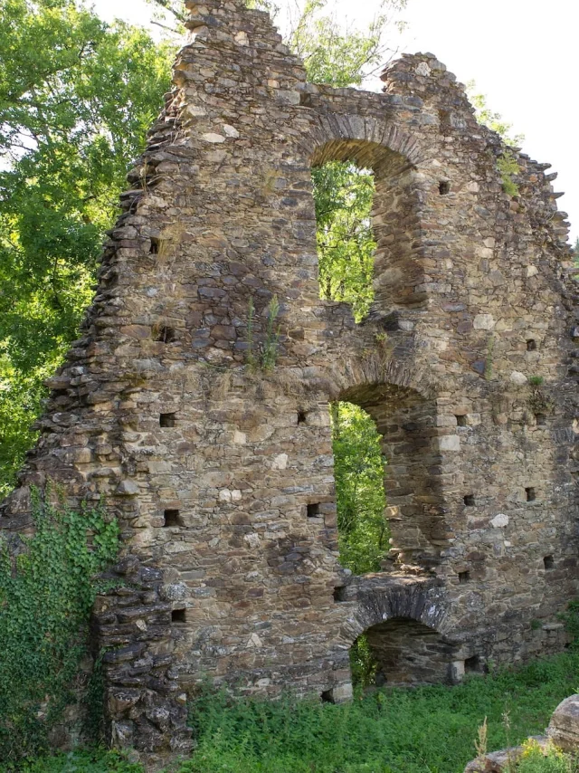 Ruines De La Forteresse De Chalucet Ligoure