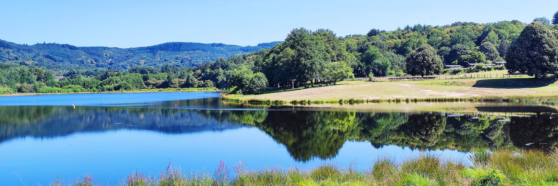 Etang De Jonas