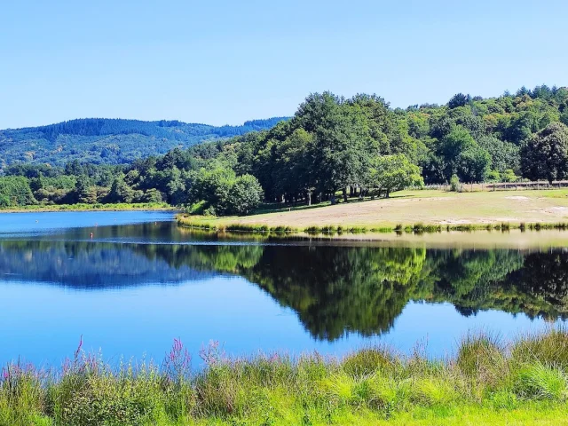 Etang De Jonas