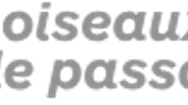 Les Oiseaux De Passage