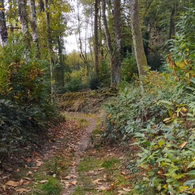 Instagram #visitlimousin