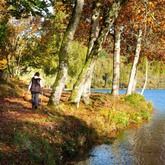 Instagram #visitlimousin
