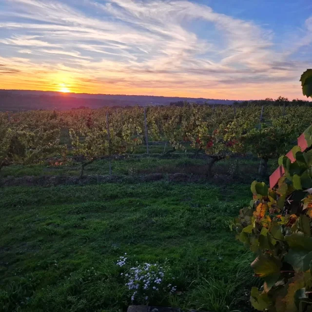 Instagram #visitlimousin