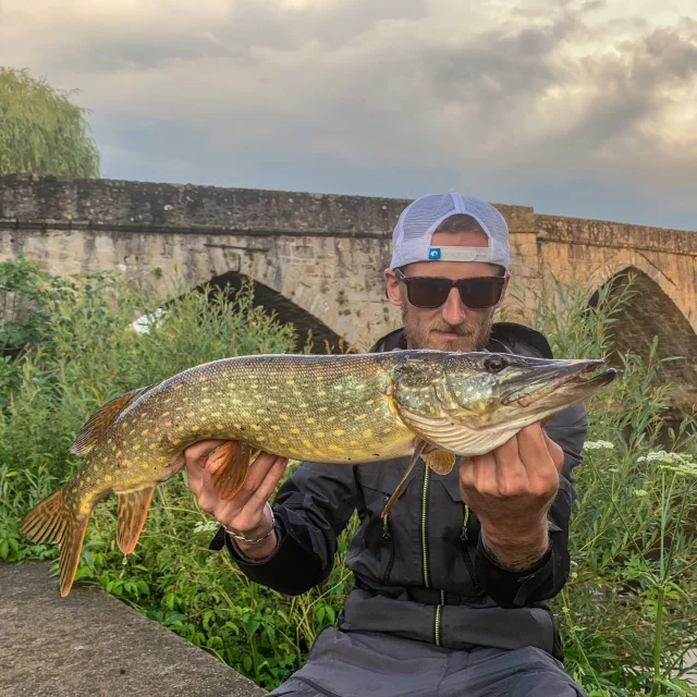 Brochet capturé au Pont Saint Etienne sur le parcours de graciation de Limoges - Street fishing no kill