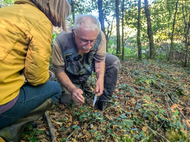 Champignon Societe Mycologique