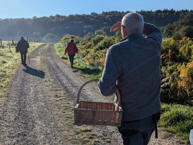 Champignon Societe Mycologique Soleil