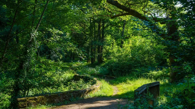 Domaine De Ligoure En Limousin