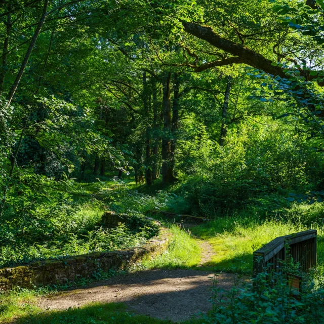 Domaine De Ligoure En Limousin