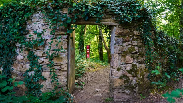 Mur Denceinte Foret De Ligoure