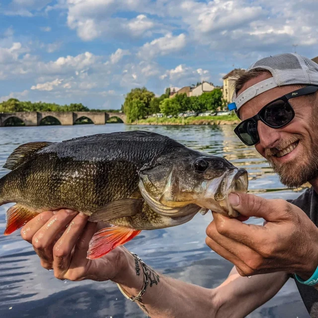 Pêcher la perche au Pont Saint Martial un des spots de pêche urbaine à Limoges