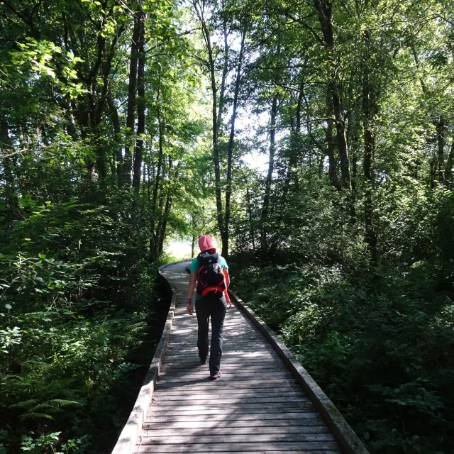 Hike on the Plateau De Millevaches and Lac De Vassiviere with Lappli Rando Millevaches on your smartphone