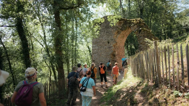 Travaux De Restauration Chalucet