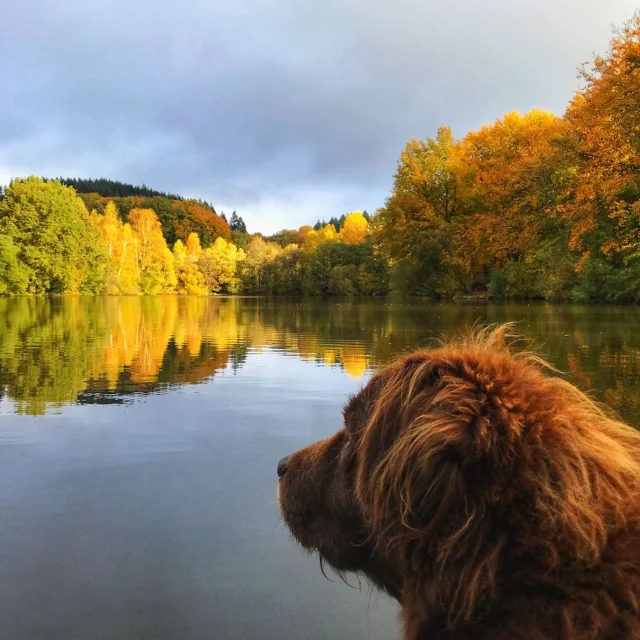 Instagram #visitlimousin