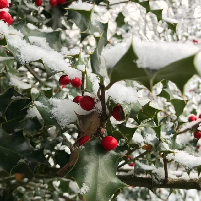 Instagram #visitlimousin