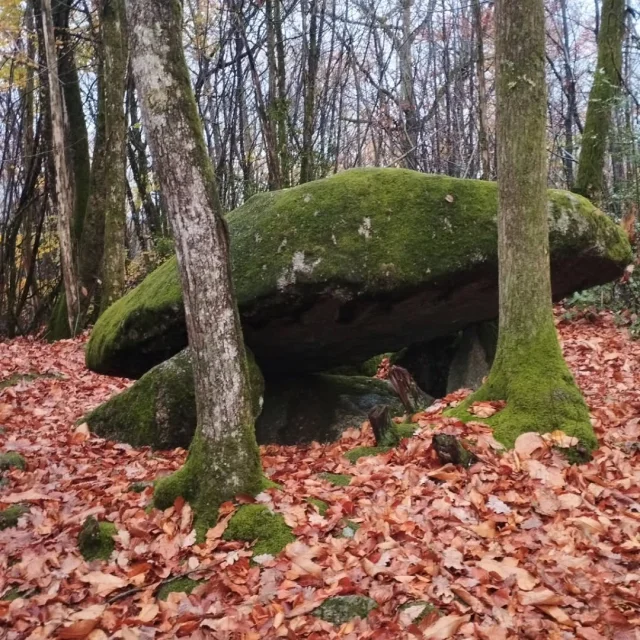 Instagram #visitlimousin