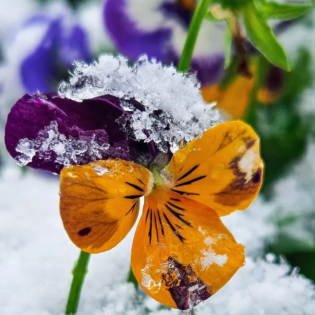 Instagram #visitlimousin