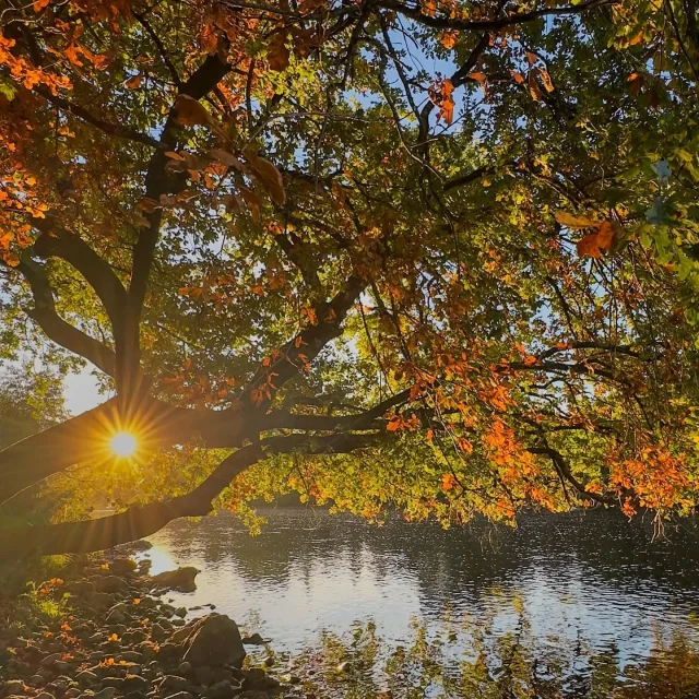 Instagram #visitlimousin