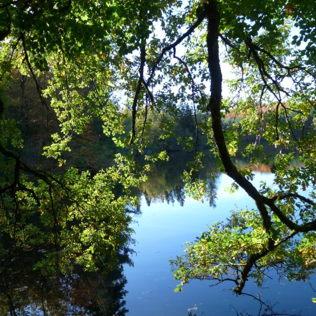 Instagram #visitlimousin