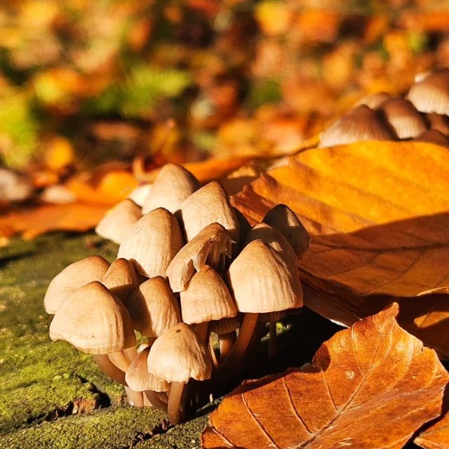 Instagram #visitlimousin