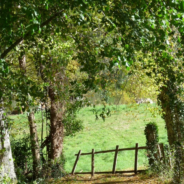 Instagram #visitlimousin