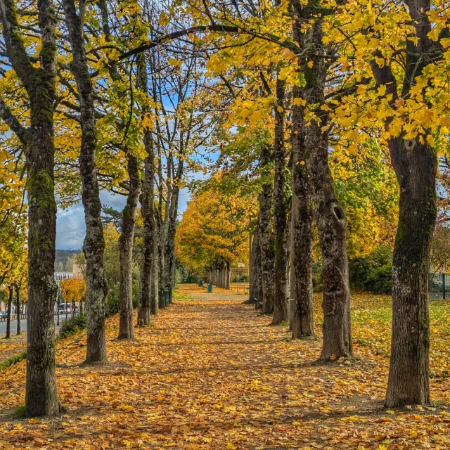 Instagram #visitlimousin