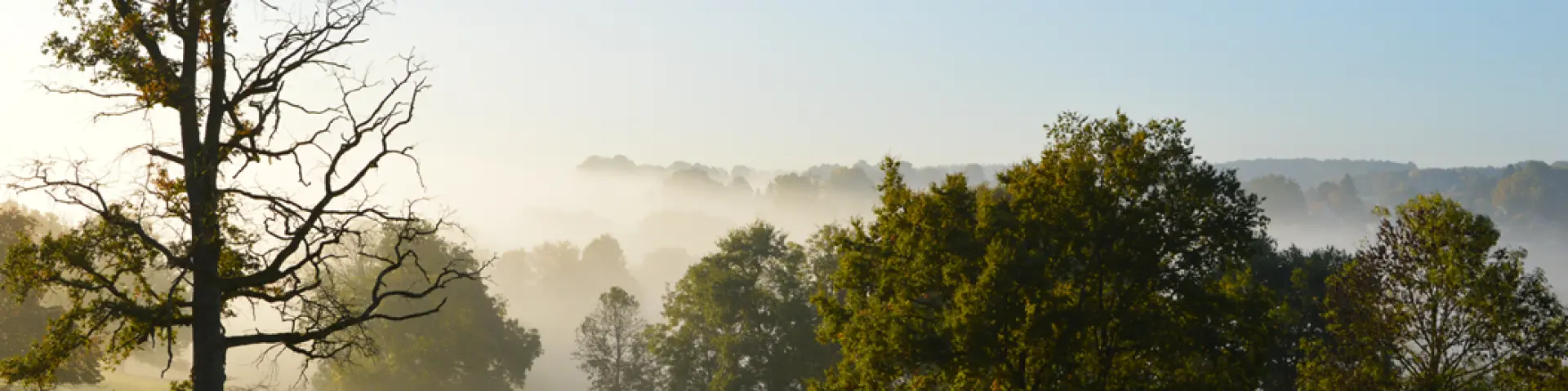 Pnr Perigord Limousin