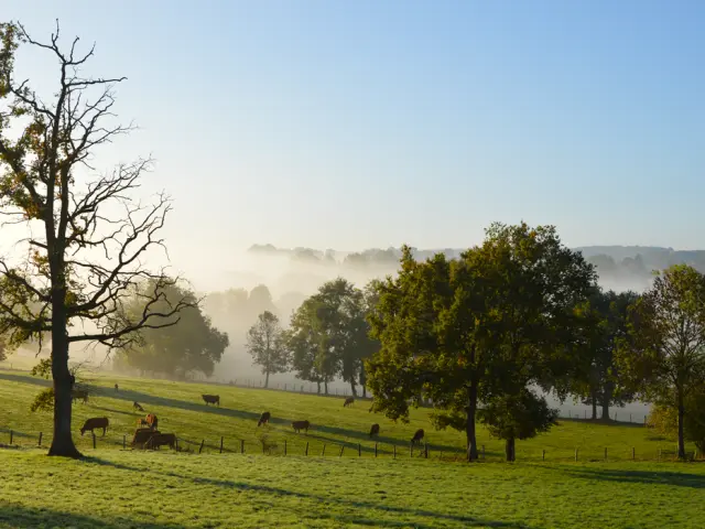 Pnr Perigord Limousin