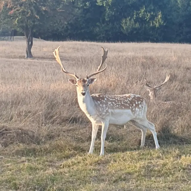 Instagram #visitlimousin