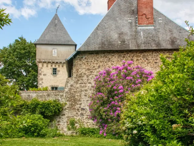Chateau De Montautre