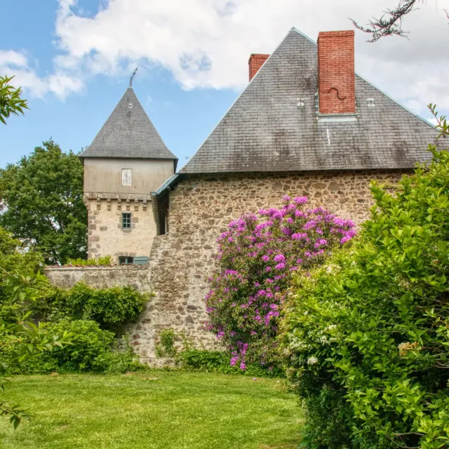 Chateau De Montautre