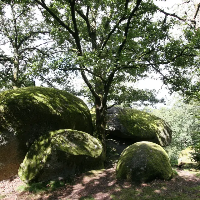 Les Rochers de Puychaud pierres de légende du Limousin sur le Circuit des Mégalithes dans les Monts de Blond