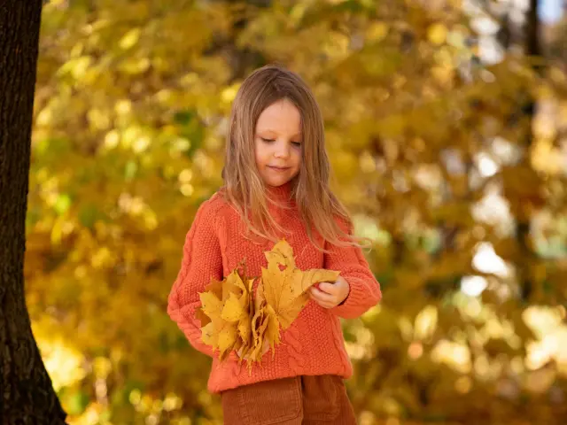 Balade en forêt en automne avec les enfants en Limousin
