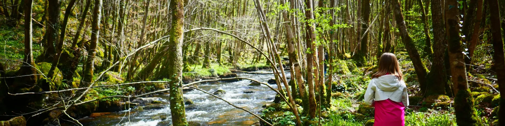 Balade dans la forêt d'Epagne avec les enfants à Sauviat sur Vige près de Saint-Léonard de Noblat