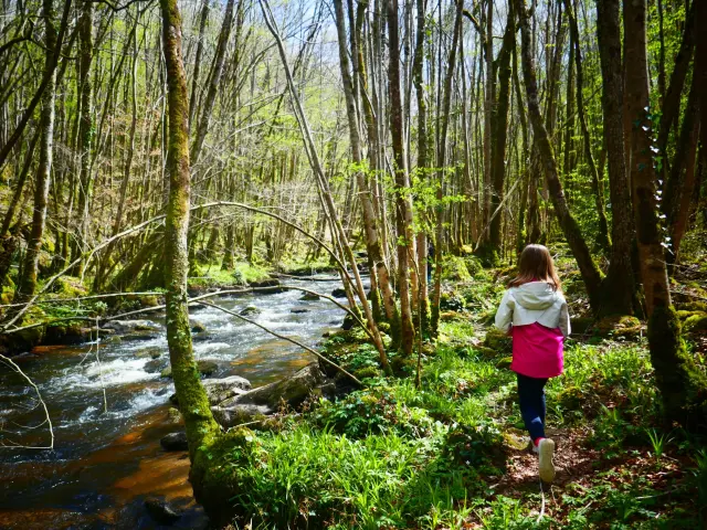 Balade dans la forêt d'Epagne avec les enfants à Sauviat sur Vige près de Saint-Léonard de Noblat