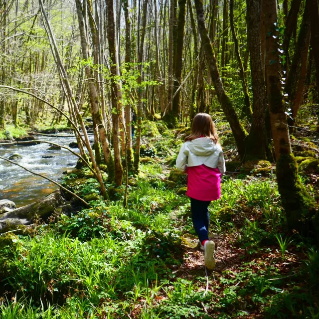Balade dans la forêt d'Epagne avec les enfants à Sauviat sur Vige près de Saint-Léonard de Noblat