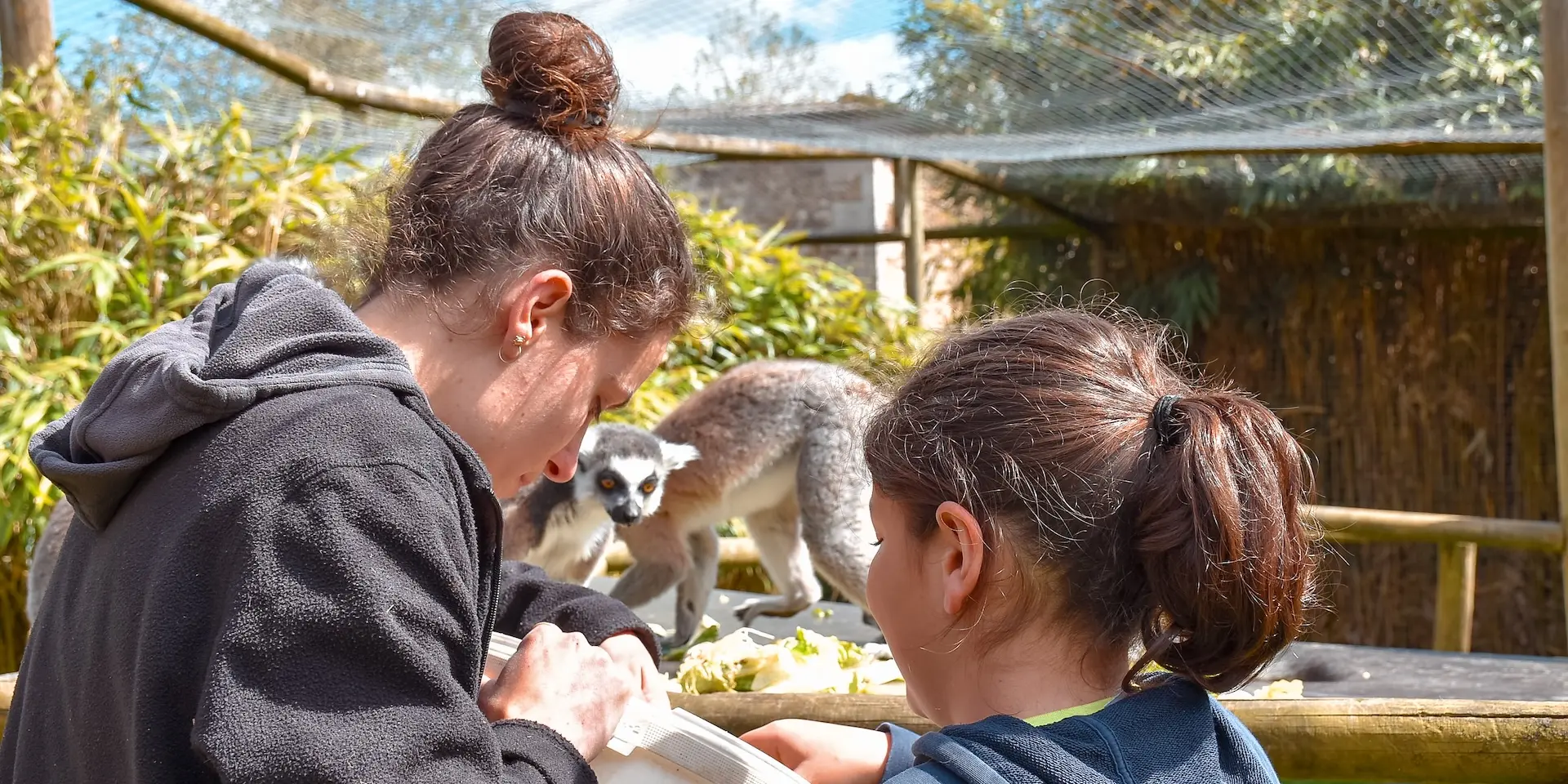 Activite Soigneur Dun Jour Zoo Du Reynou Limoges