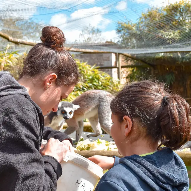 Activite Soigneur Dun Jour Zoo Du Reynou Limoges