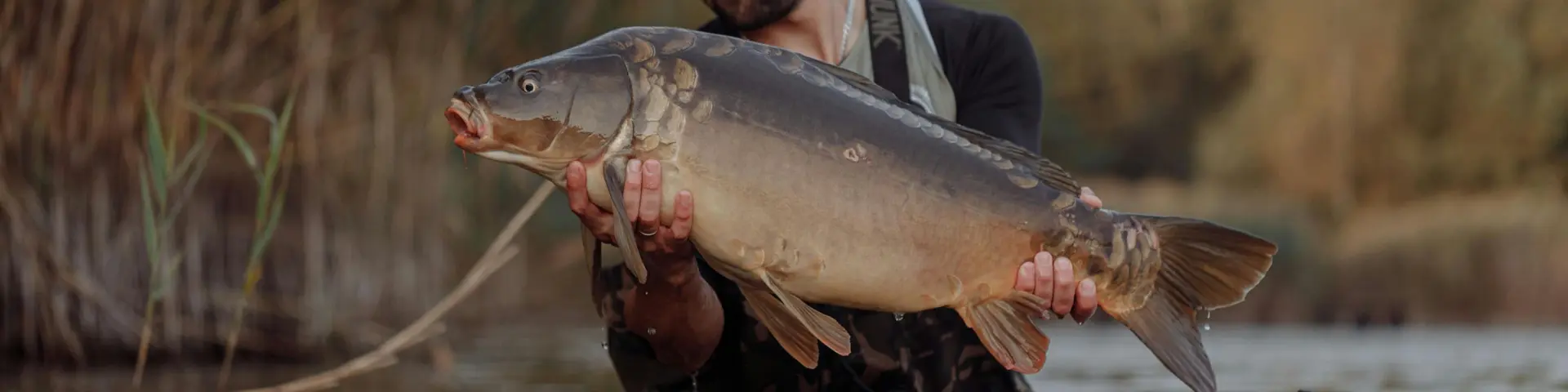 Pêche à la carte en Haute-Vienne