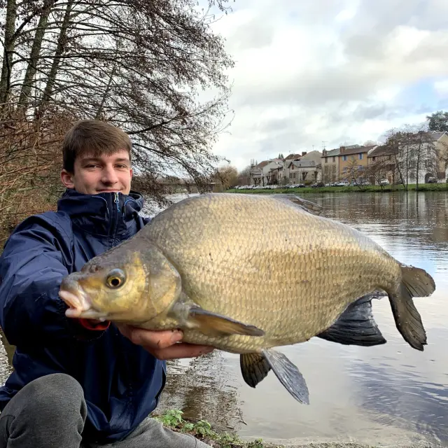 Brème - Pêche des carpes et cyprinidés en Limousin - Rivières et étangs de pêche de la Haute Vienne
