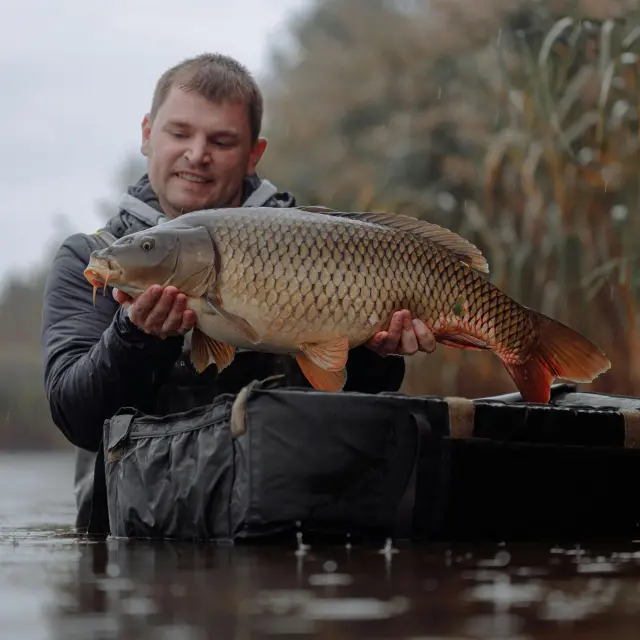 Pêcher la carpe et les cyprinidés en Haute-Vienne